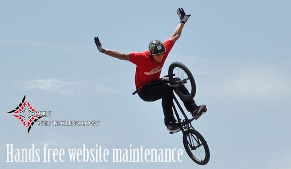 Website Maintenance
